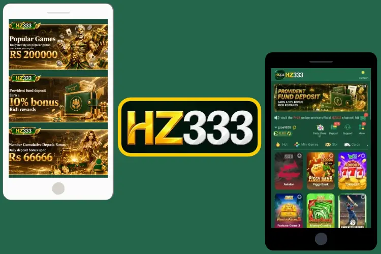 HZ333